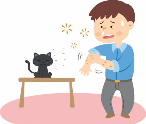 皮肤瘙痒患者在临床上应当如何检查具体的病情呢?